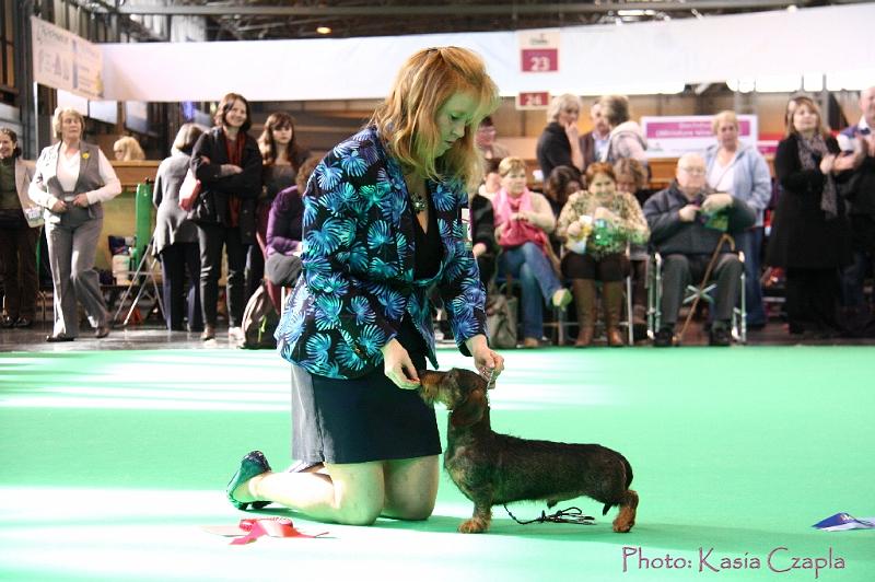 Crufts2011_2 926.jpg